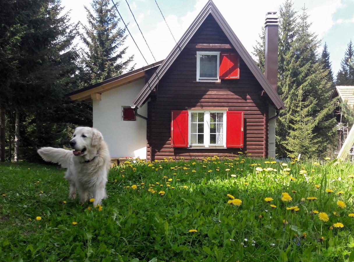 Snowhite Jahorina Villa Eksteriør billede